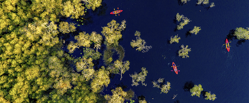 From Headlines to Reality: The Strength of Andean nations